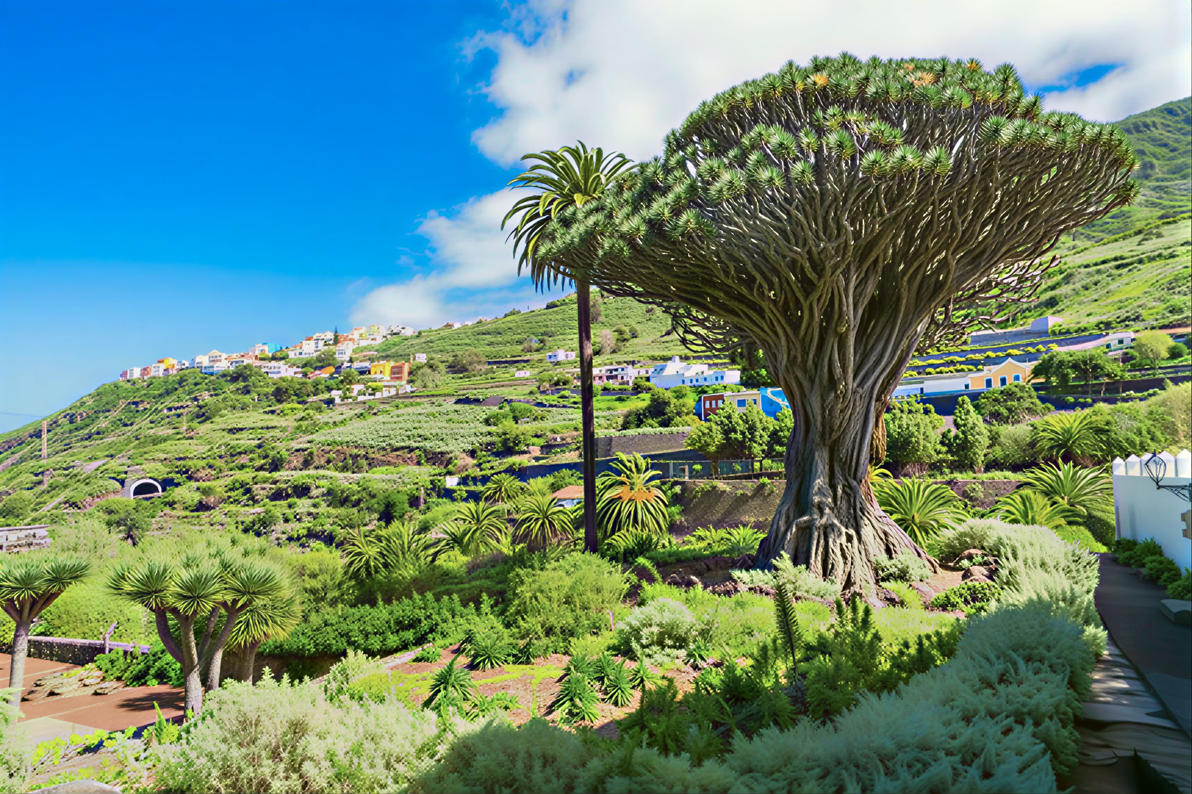Tenerife Meditation Tour