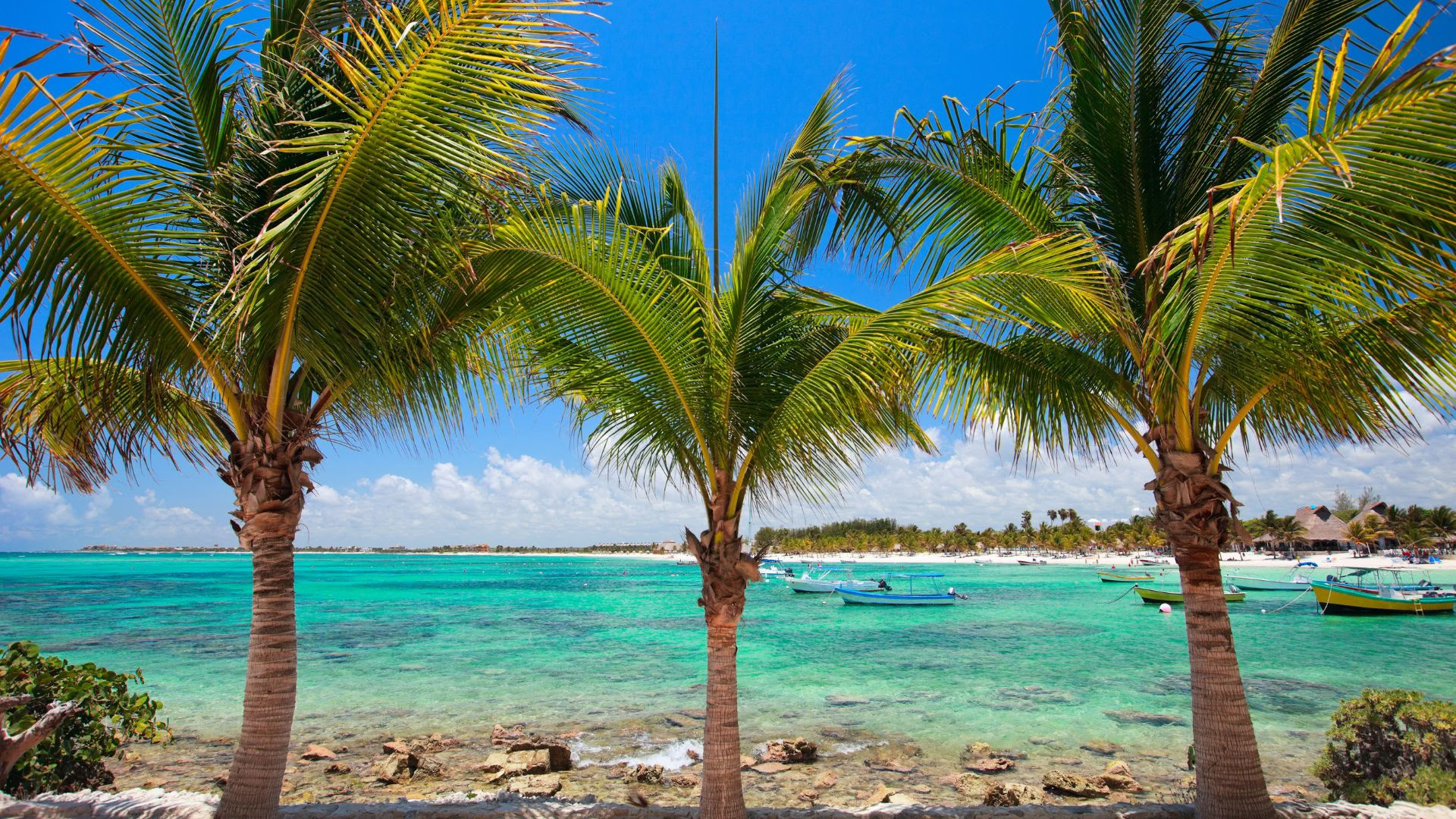 Akumal Wellness Retreat: Ocean-Facing Suite