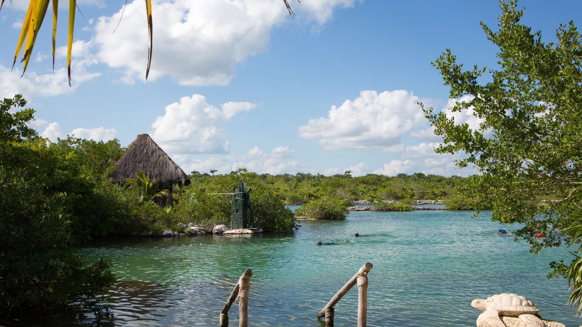 Akumal Wellness Retreat: Ocean-Facing Suite