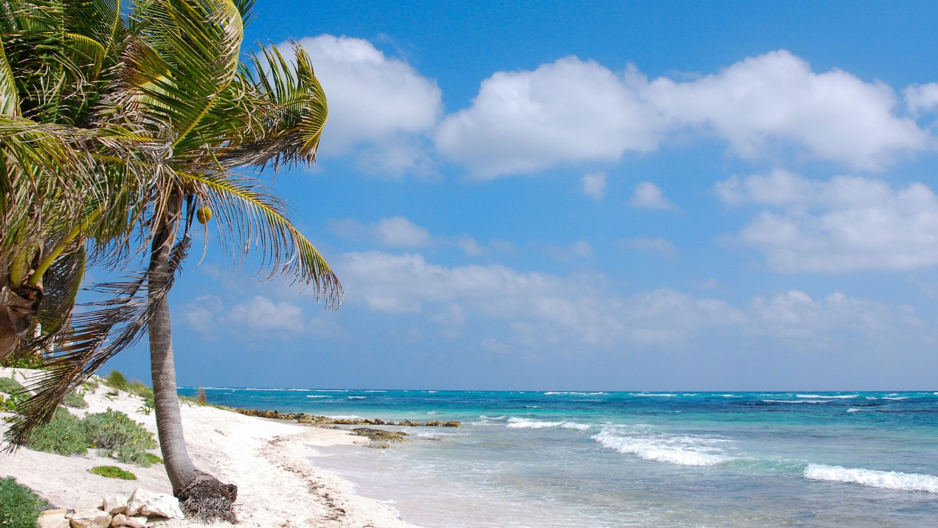 Akumal Wellness Retreat: Single Occupancy Ensuite Room