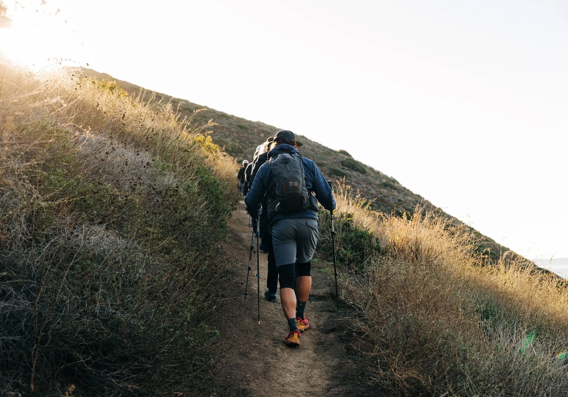 Backbone Trail in Bloom