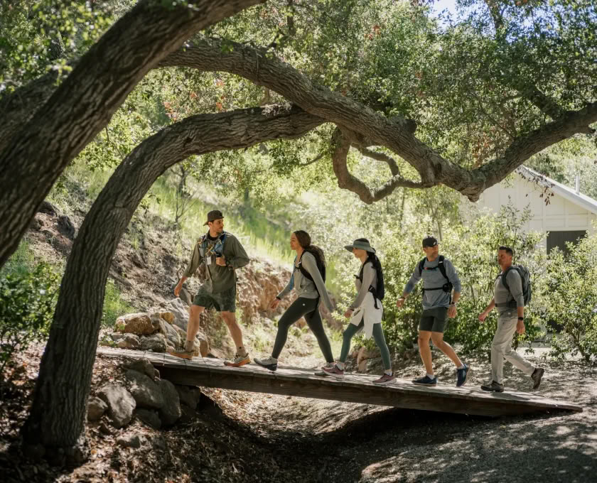 Backbone Trail in Bloom