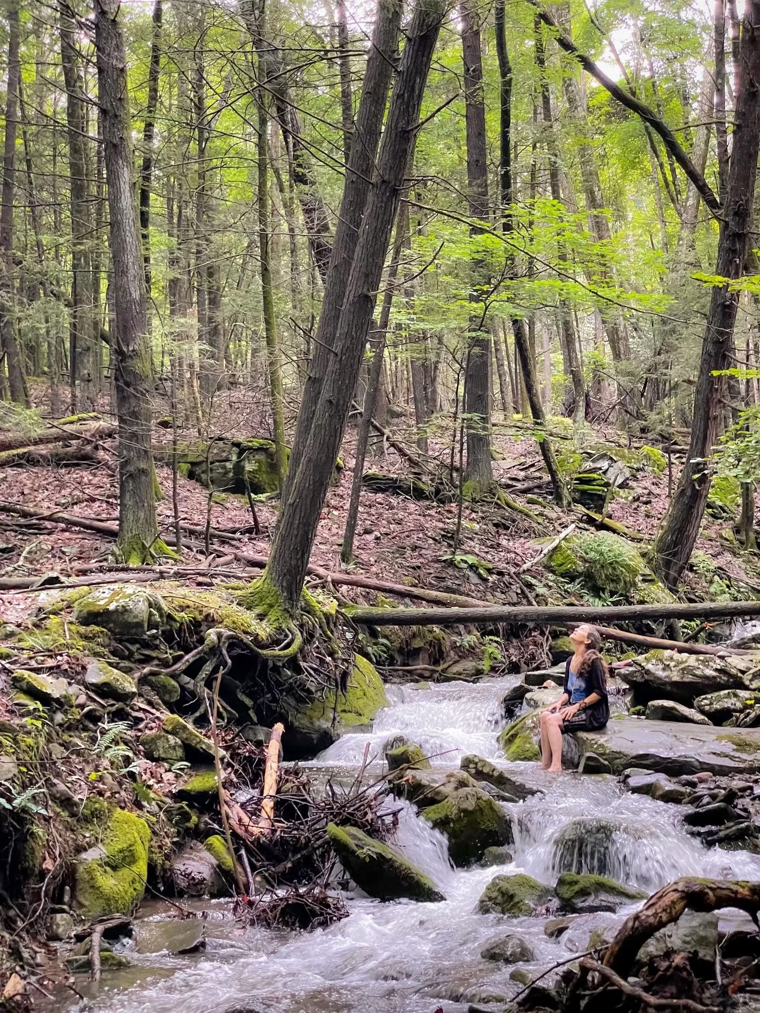 Harvest Gathering at the N.E.S.T. with the Hudson Valley Psychedelic Society — ESKFF NEST