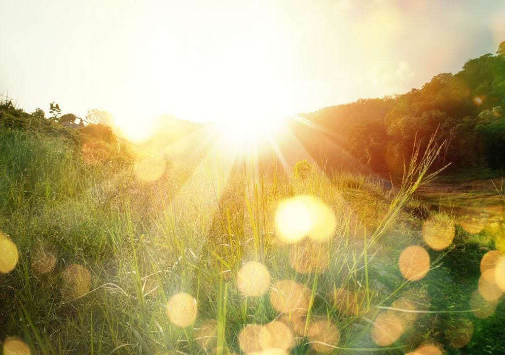 TRE (Trauma/Tension Release Exercises) workshop - Reset Your Nervous System — The Held Space - nervous system regulation retreats and workshops for PTSD, CPTSD (complexed PTSD) anxiety, burnout, grief, trauma, chronic pain,