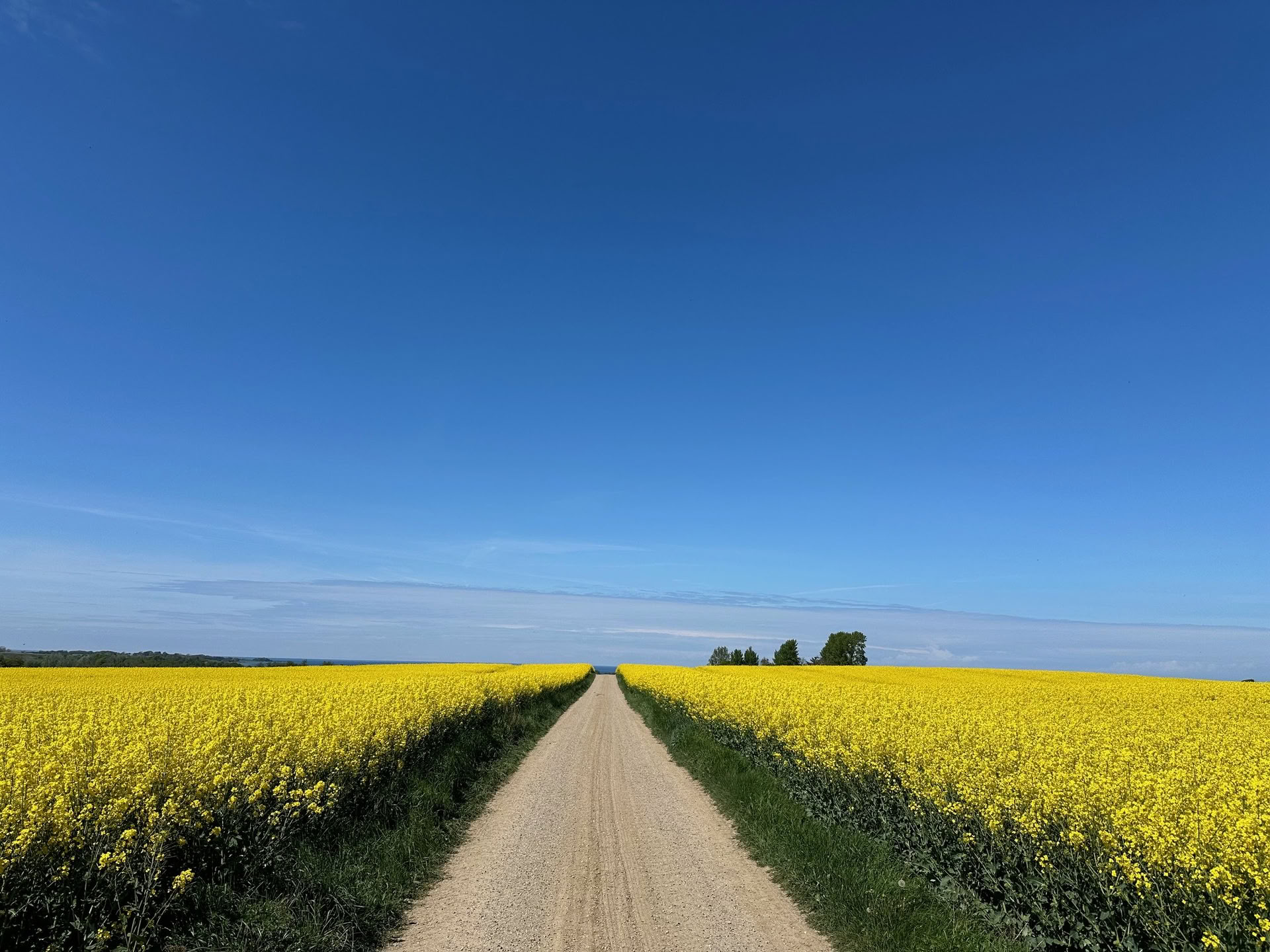 TRE (Trauma/Tension Release Exercises) workshop - Reset Your Nervous System — The Held Space - nervous system regulation retreats and workshops for PTSD, CPTSD (complexed PTSD) anxiety, burnout, grief, trauma, chronic pain,