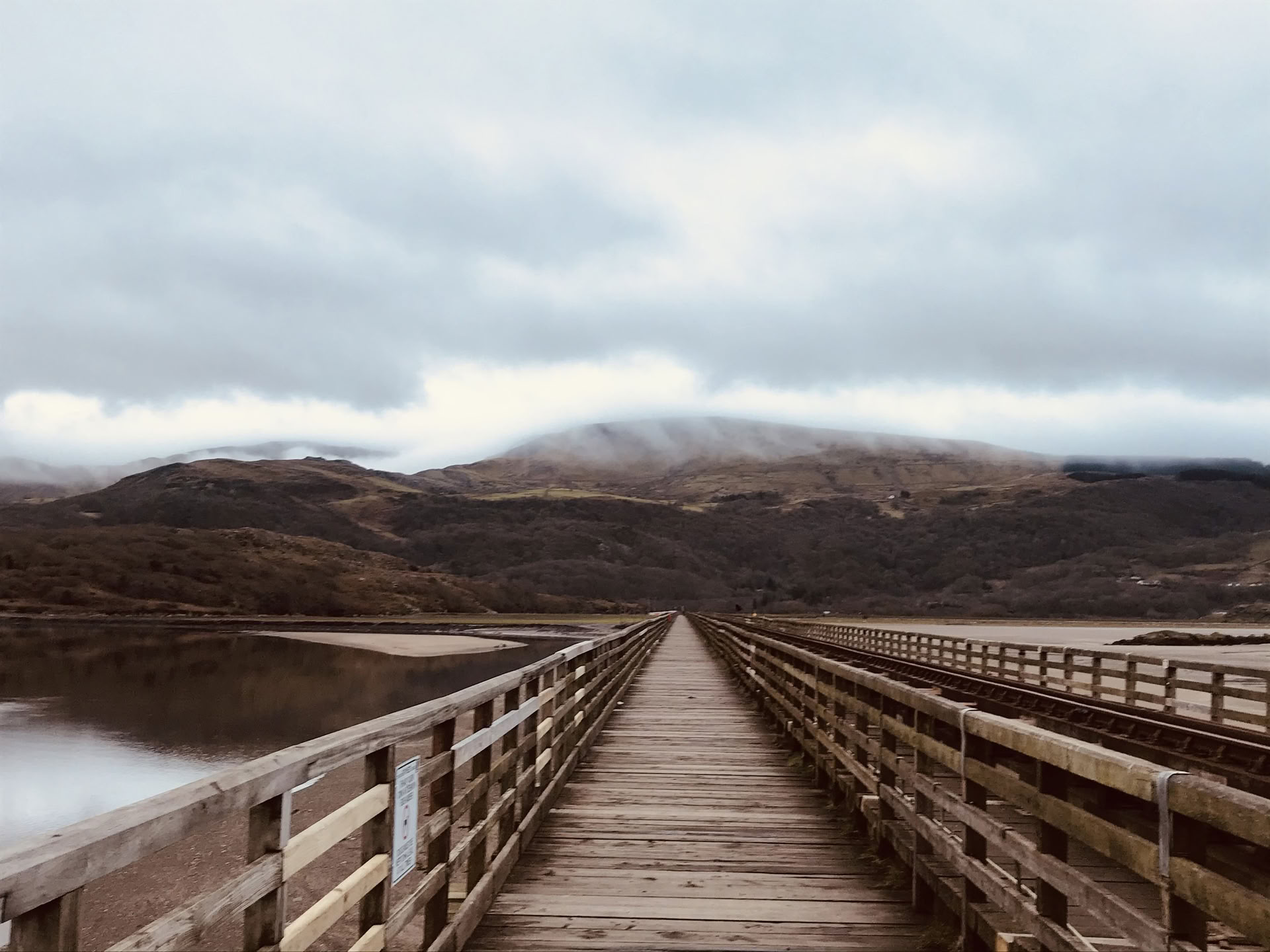 TRE (Trauma/Tension Release Exercises) workshop - Reset Your Nervous System — The Held Space - nervous system regulation retreats and workshops for PTSD, CPTSD (complexed PTSD) anxiety, burnout, grief, trauma, chronic pain,