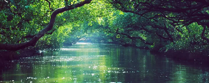 8 Day Trauma Release Retreat