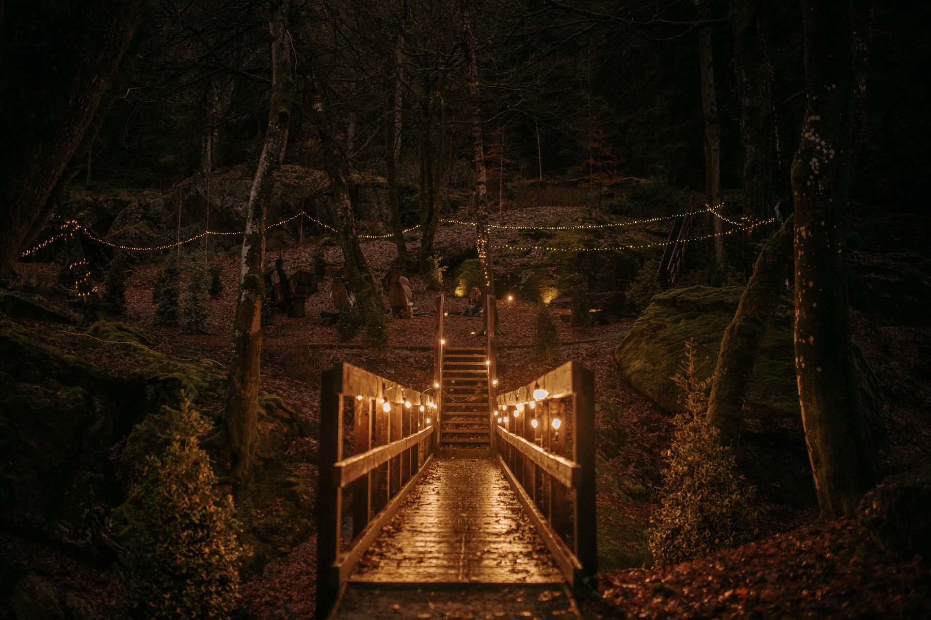 Preparing for the Dark