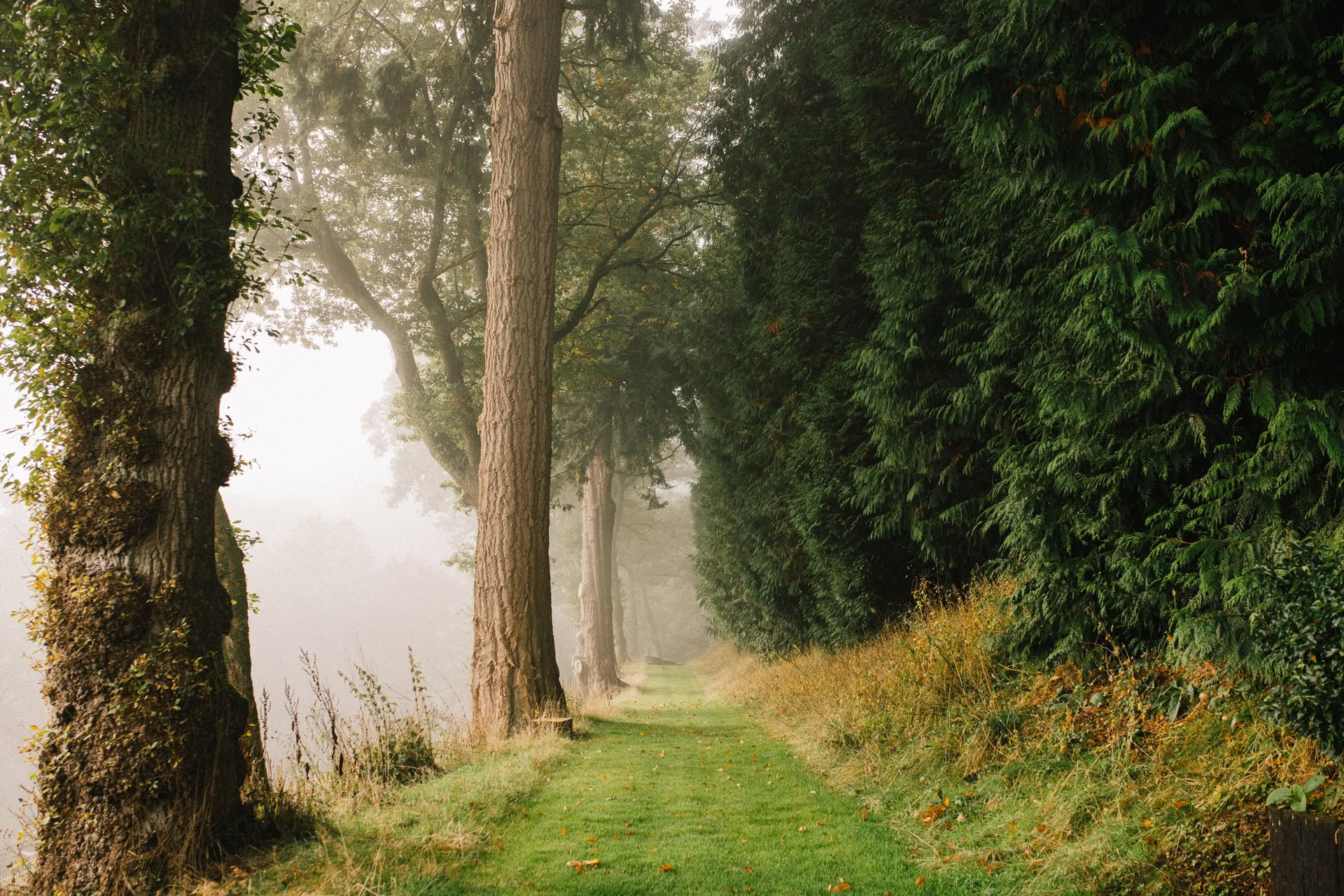 Day Retreat