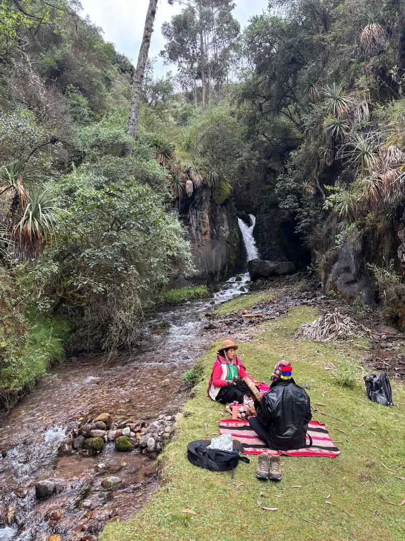 Ayahuasca and San Pedro Retreat 3 days
