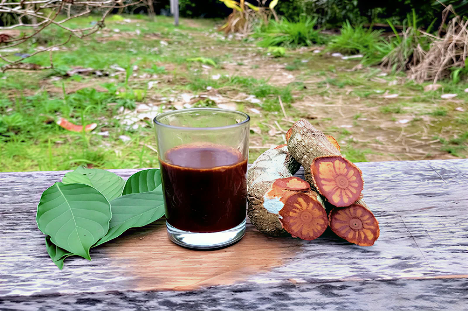 1 day ayahuasca retreat