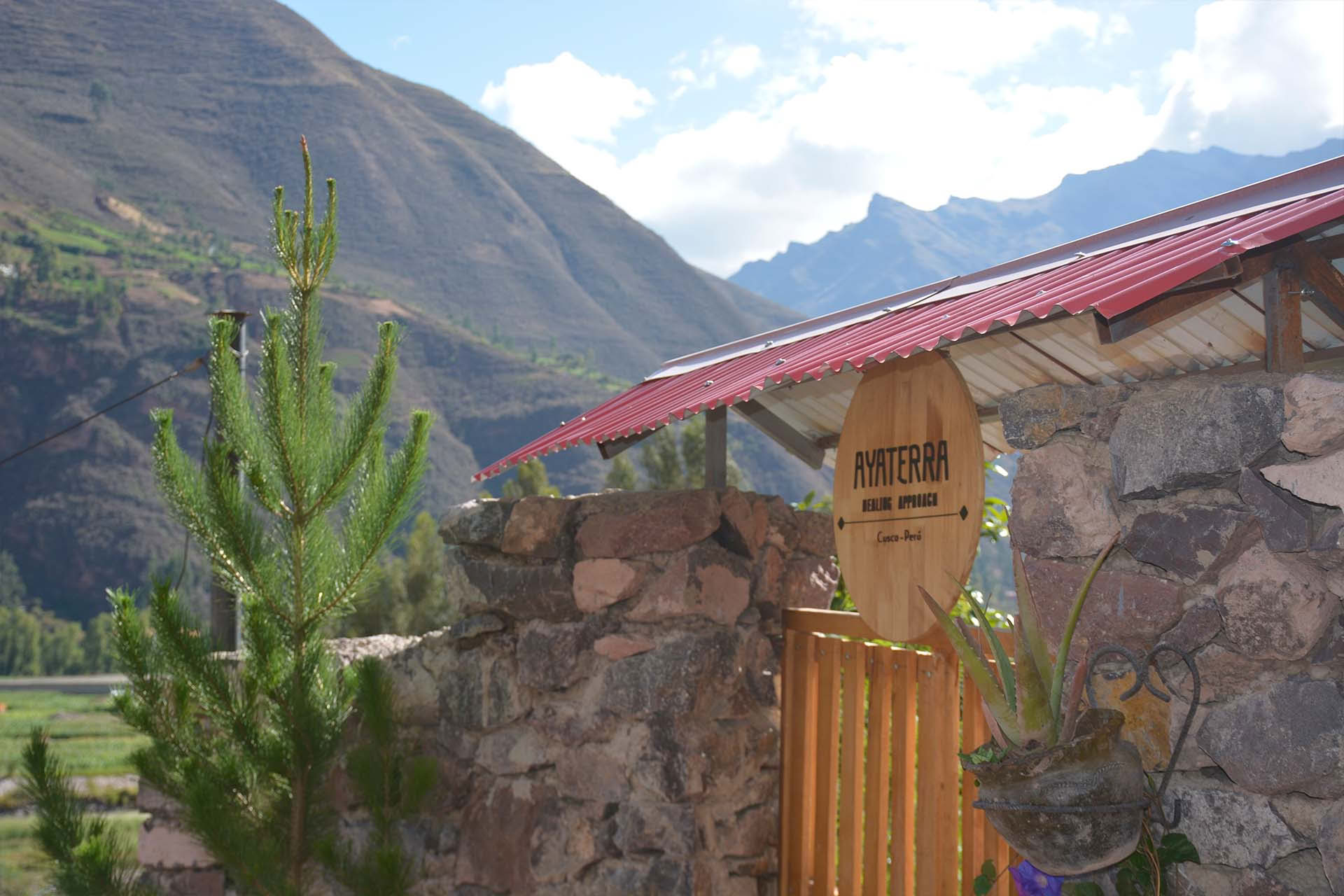 2 day Ayahuasca Retreat in Peru