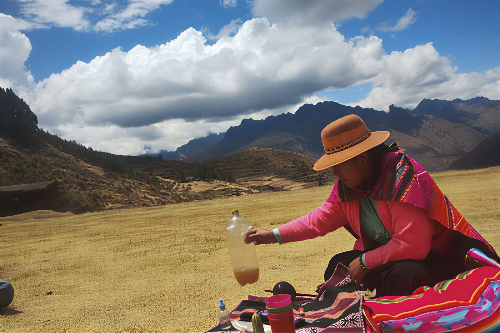 2-Day San Pedro Retreat in Sacred Valley, Cusco