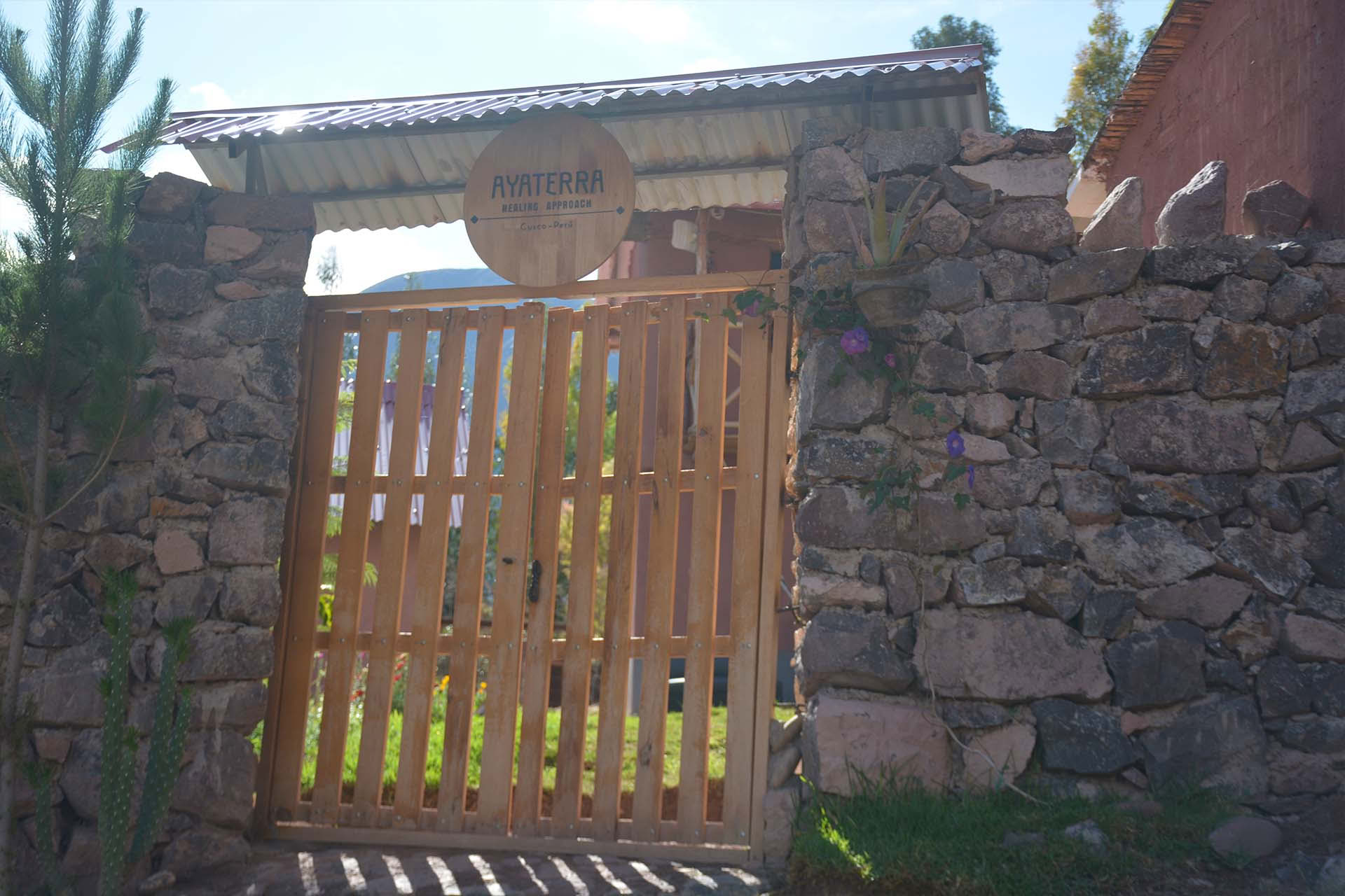 2-Day San Pedro Retreat in Sacred Valley, Cusco