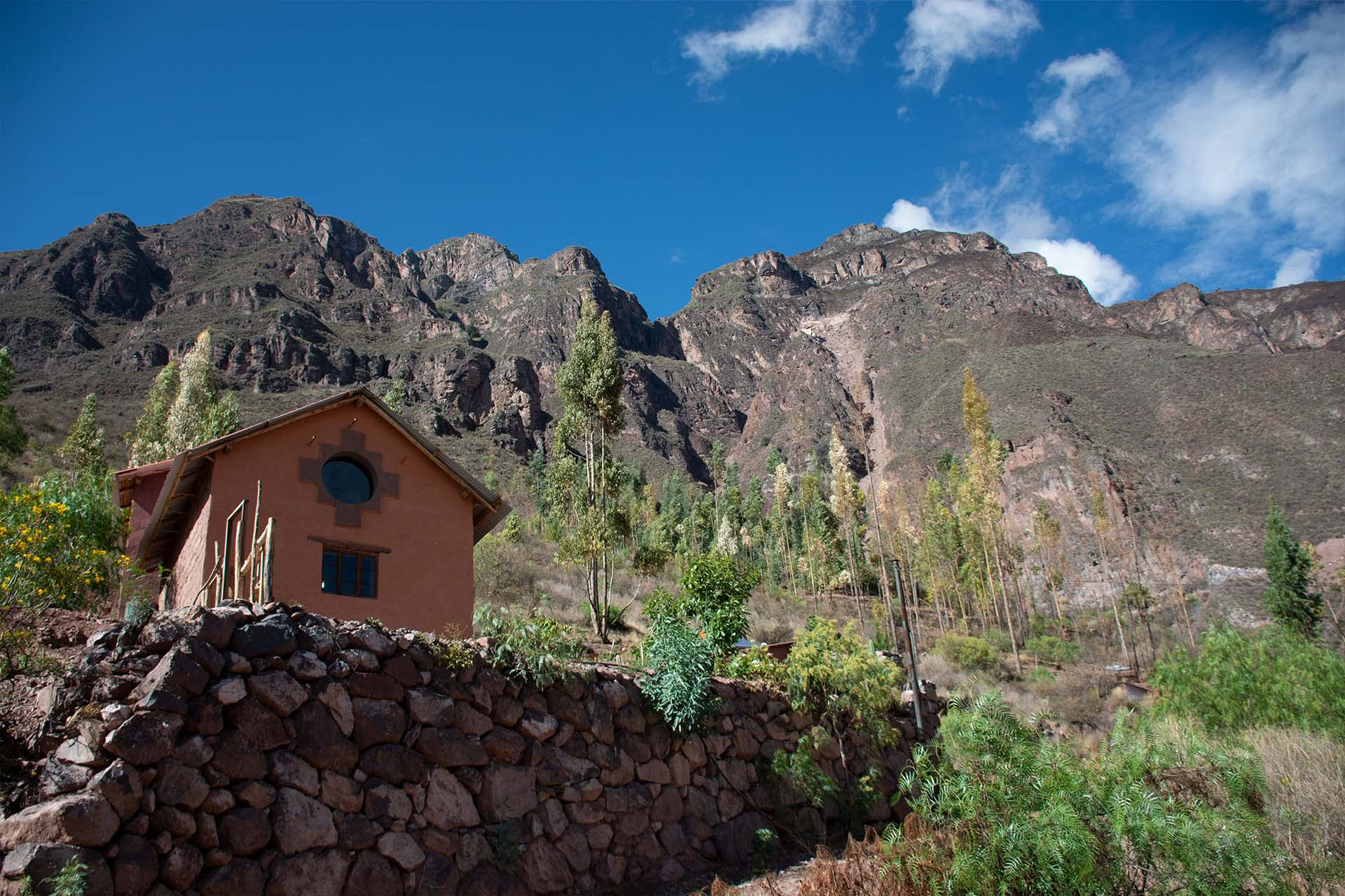 2-Day San Pedro Retreat in Sacred Valley, Cusco