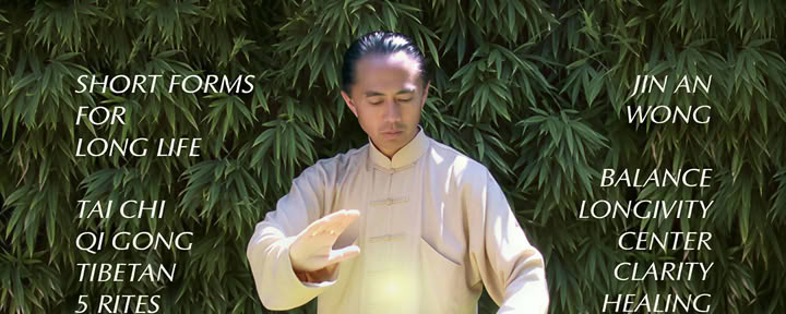 TAI CHI TAO: SHORT FORMS FOR LONG LIFE with Jin An Wong