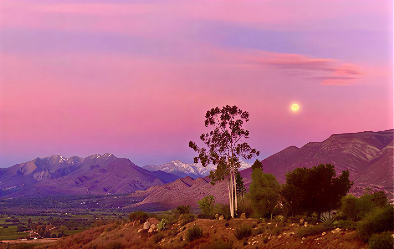 Sunday Morning Sound Meditation with Suburbanoid
