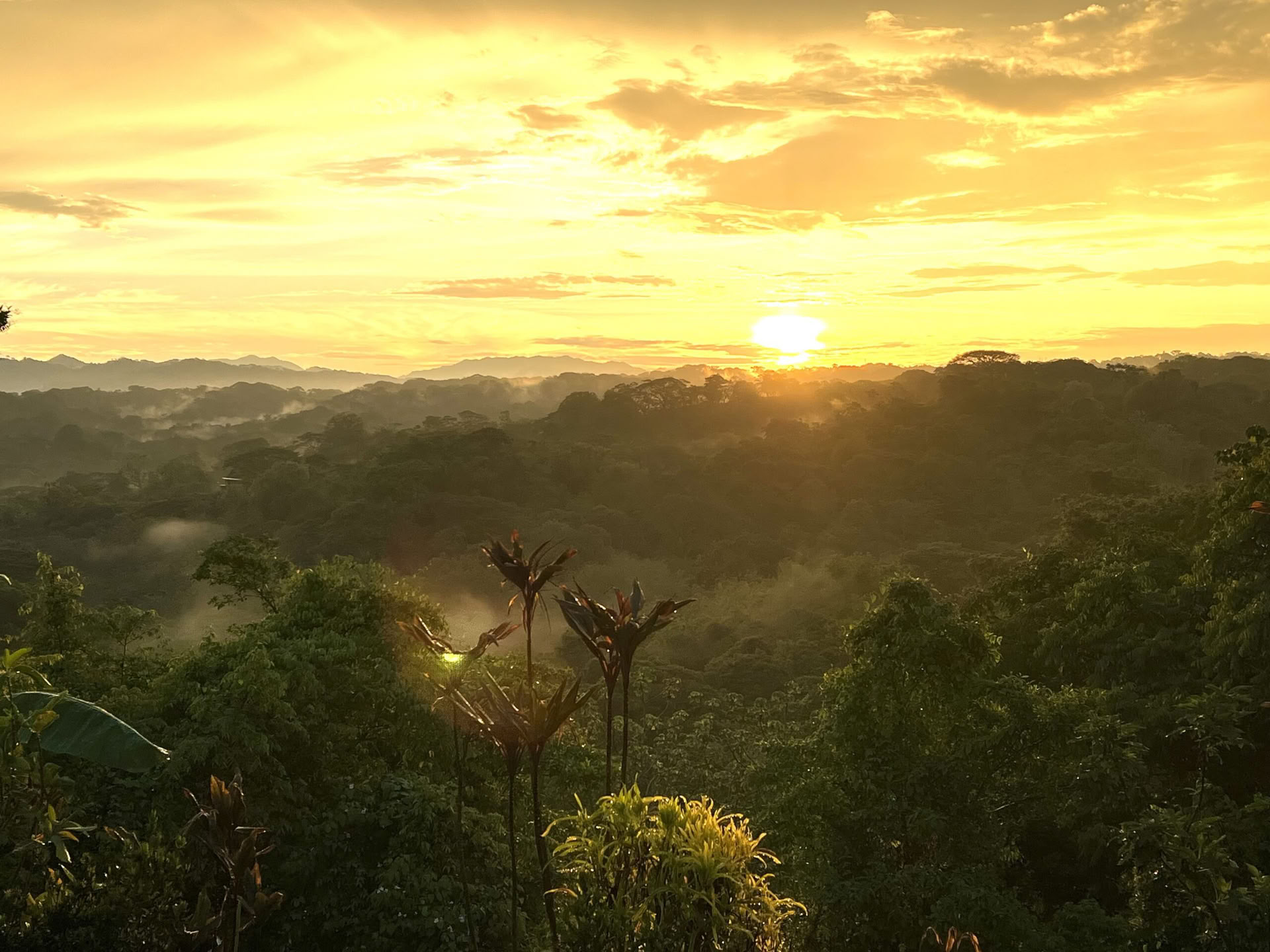 Costa Rica Yoga Retreat