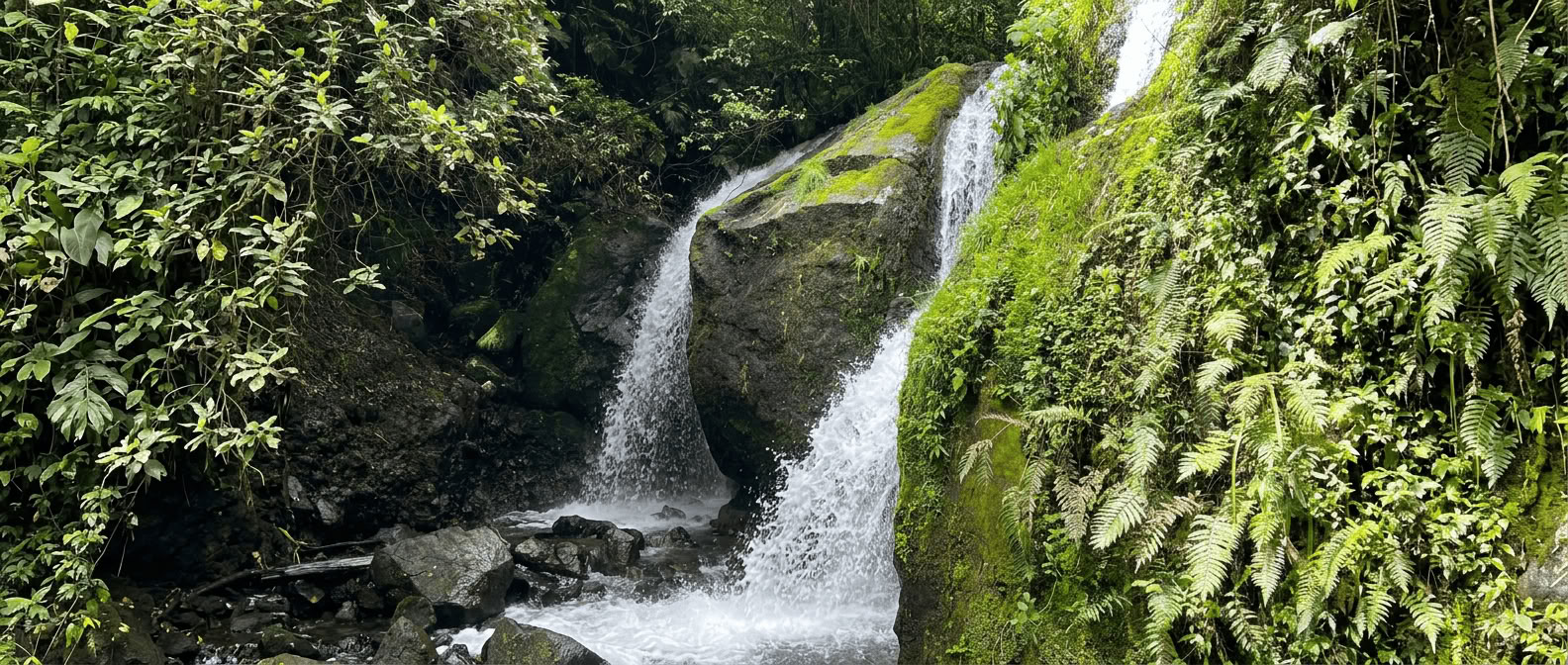 5-Night Retreat