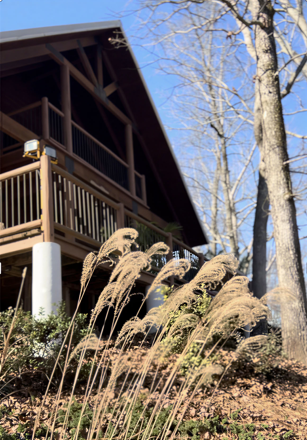 Collective Wellness Experience at Paradise Park ATL