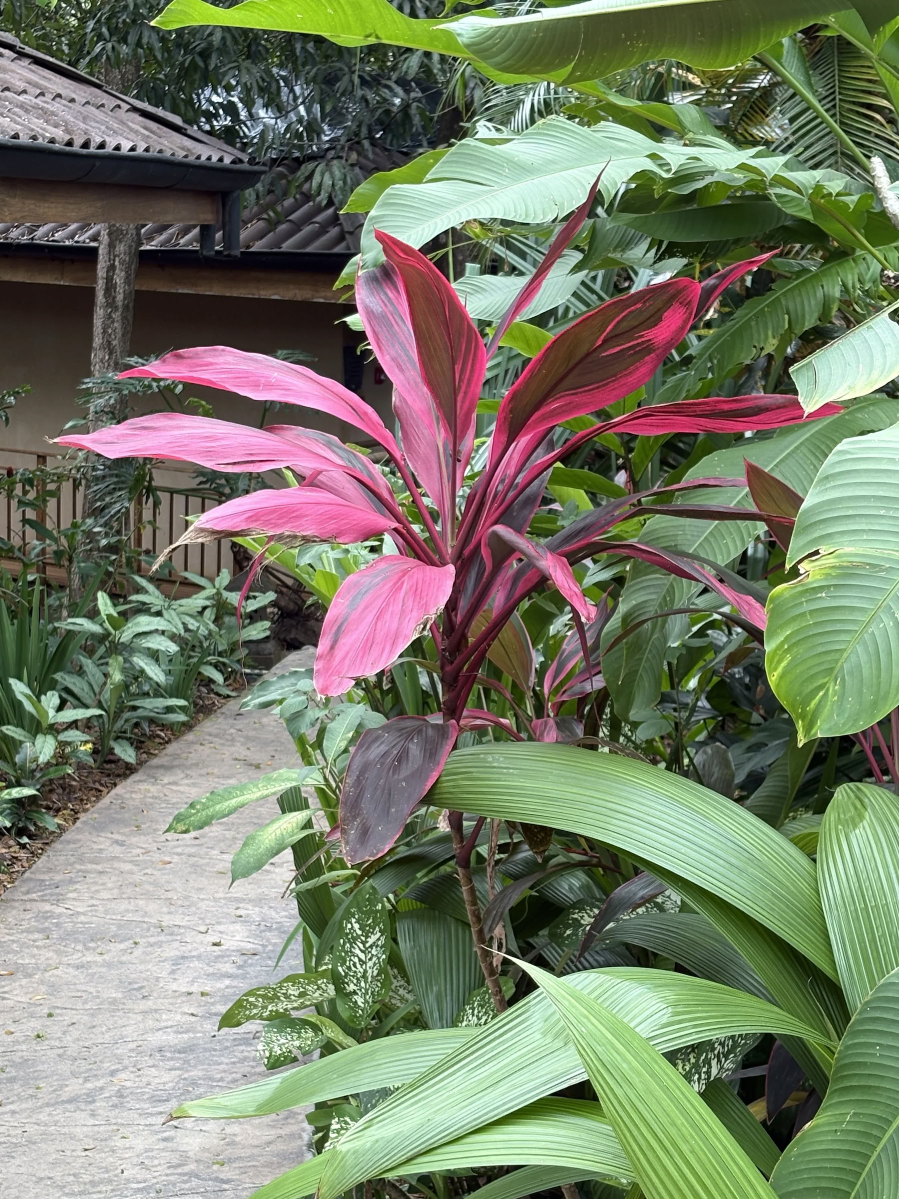 Costa Rica January Retreat 2027