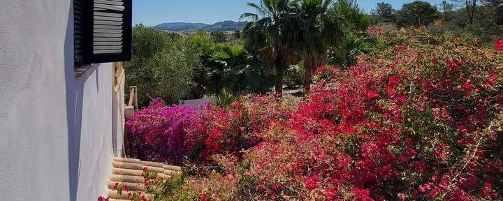 Mallorca Retreat