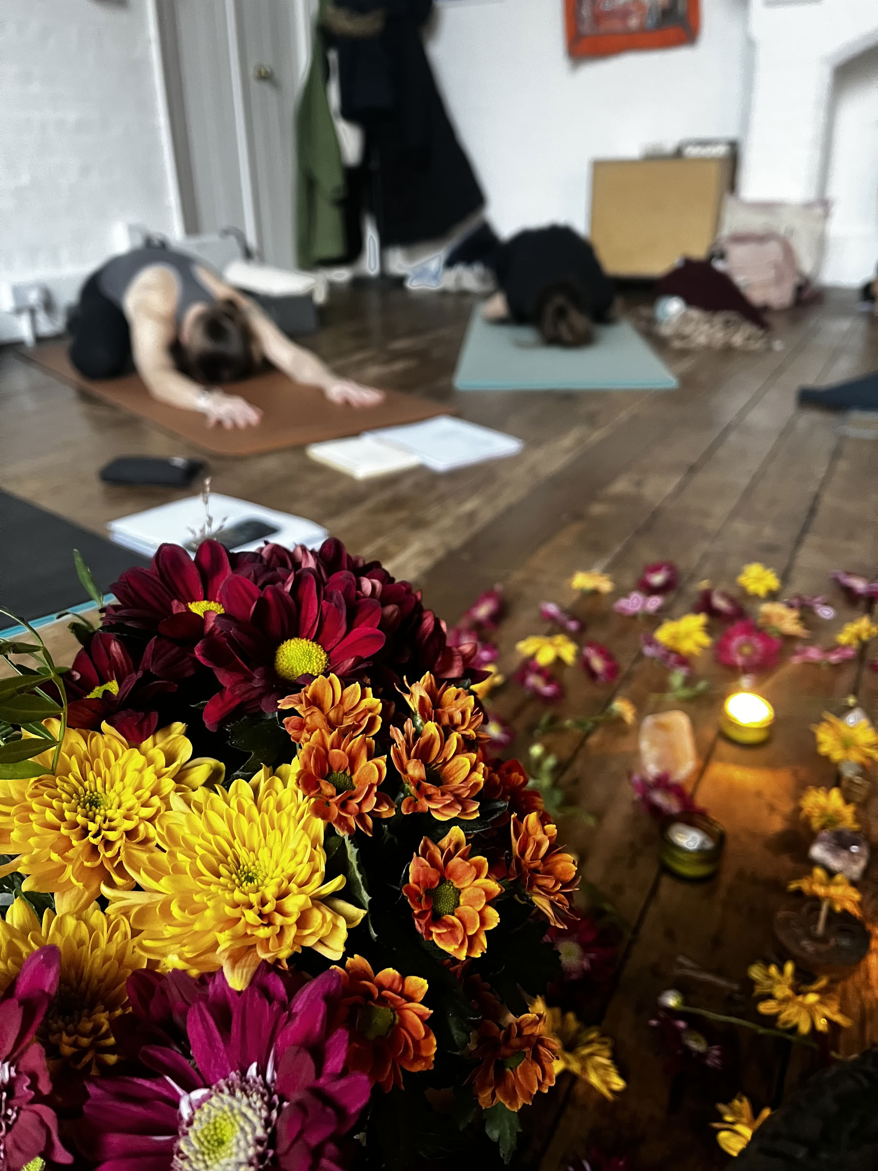 30 Hour Yin Yoga Teacher Training