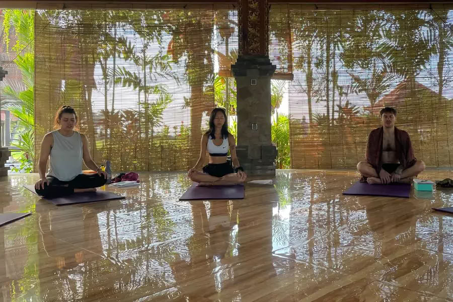 100 Hour Yoga Teacher Training Course