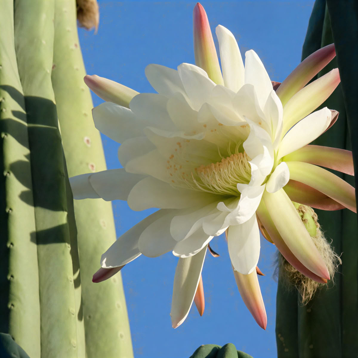 3-Day Retreat for Emotional Release and Soul Expansion