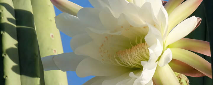 3-Day Retreat for Emotional Release and Soul Expansion