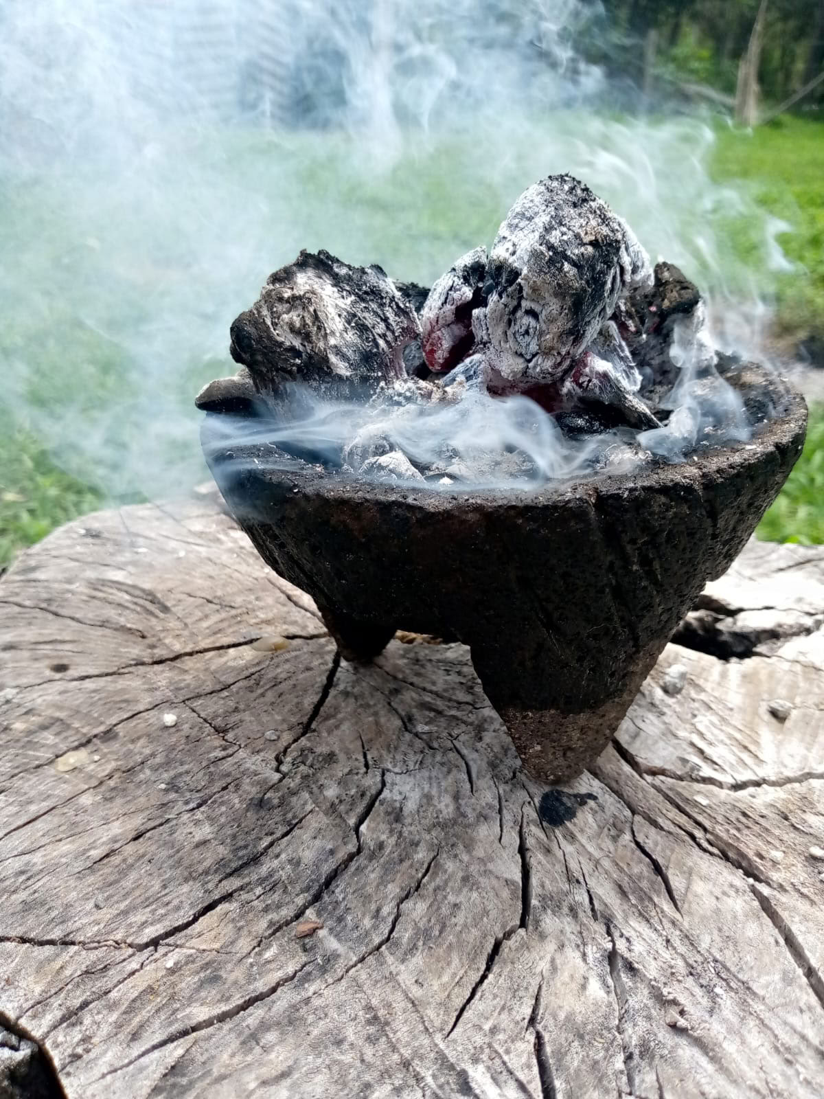 Private Ayahuasca / San Pedro Ceremony