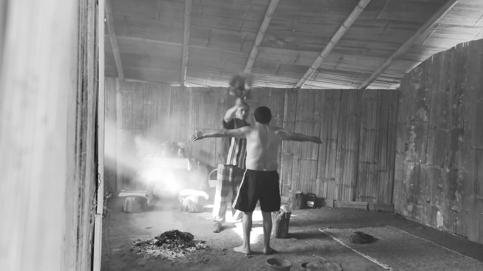 Private Ayahuasca / San Pedro Ceremony