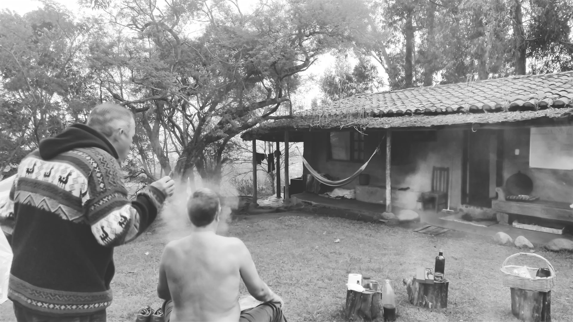 Private Ayahuasca / San Pedro Ceremony