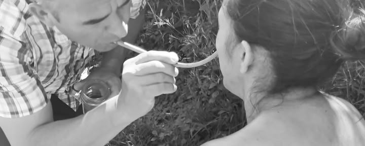 Private Ayahuasca / San Pedro Ceremony