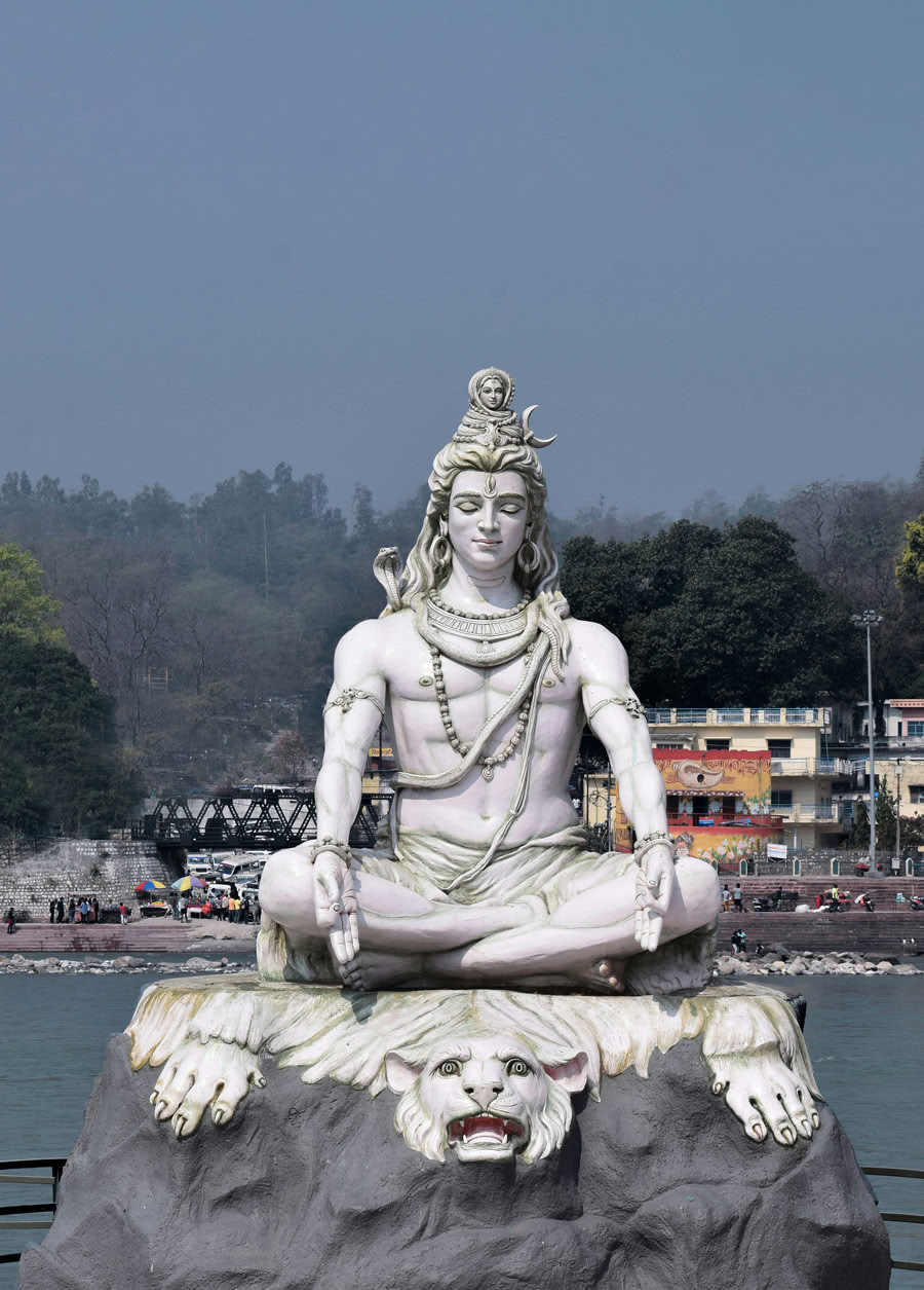 200HR Hatha Vinyasa Yoga Teacher Training
