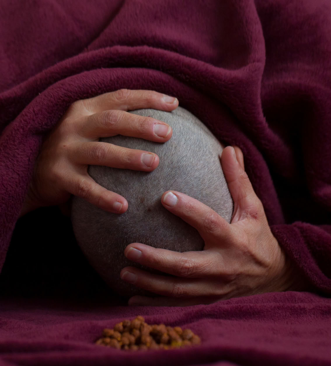 Healing Sessions & Rituals by Michaela