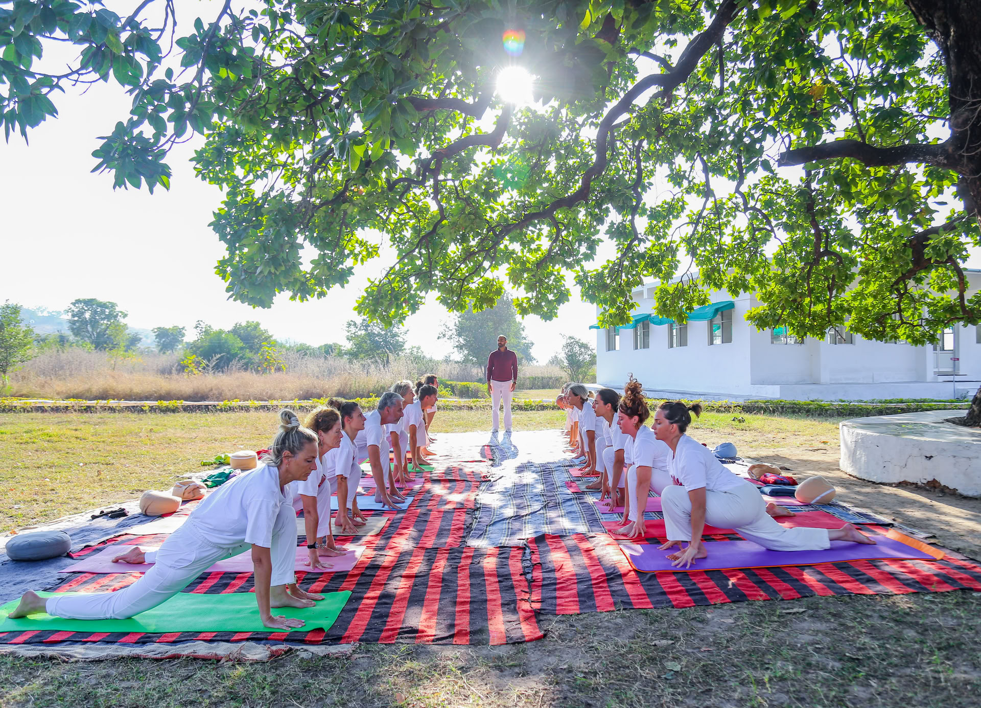 Study Yoga in India With 200-Hour Teacher Training