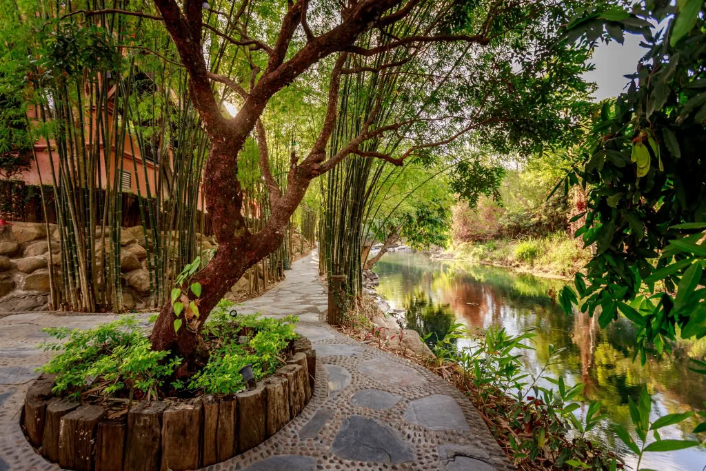 Executive Burnout Retreat