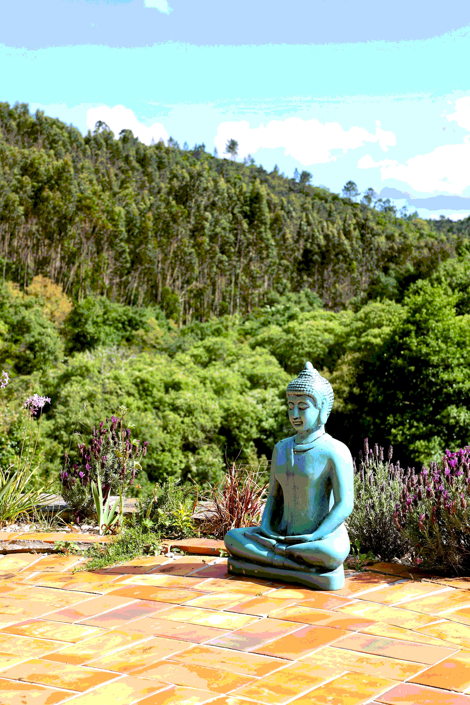 hOMe Yoga & Bhakti Retreat