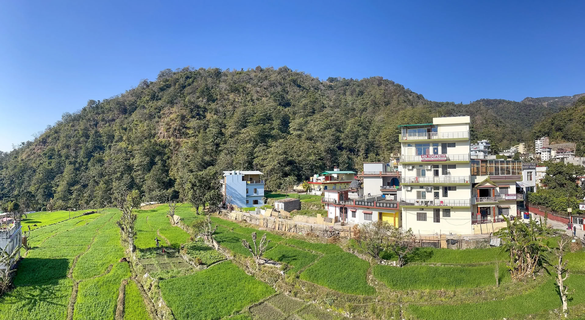 300 Hours Kundalini Yoga Teacher Training in Rishikesh