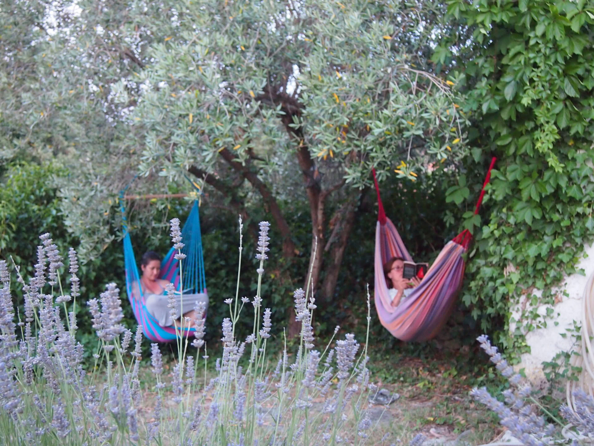 Croatia Sea and Spirit Retreat