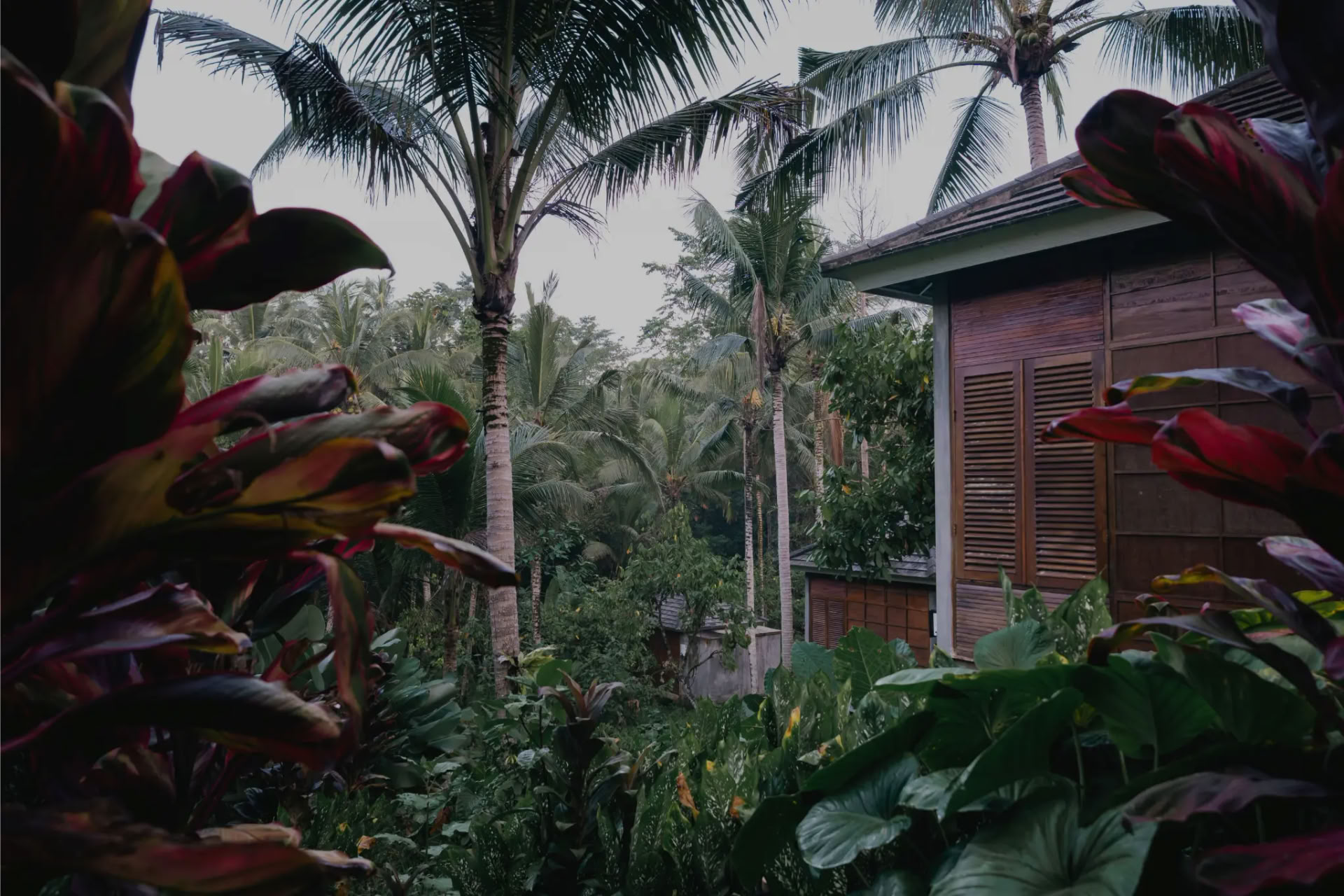 3 Day Authentic Healing Retreat in a Secret Jungle in Bali