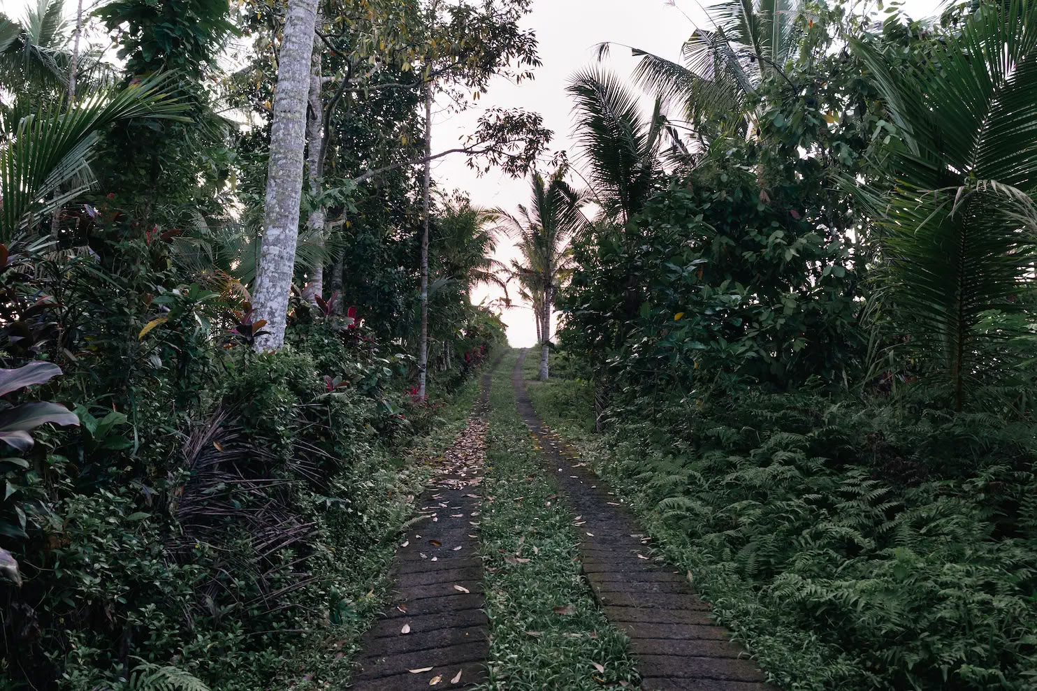 5 Day Jungle Yoga, Sound Healing & Creative Retreat in Bali