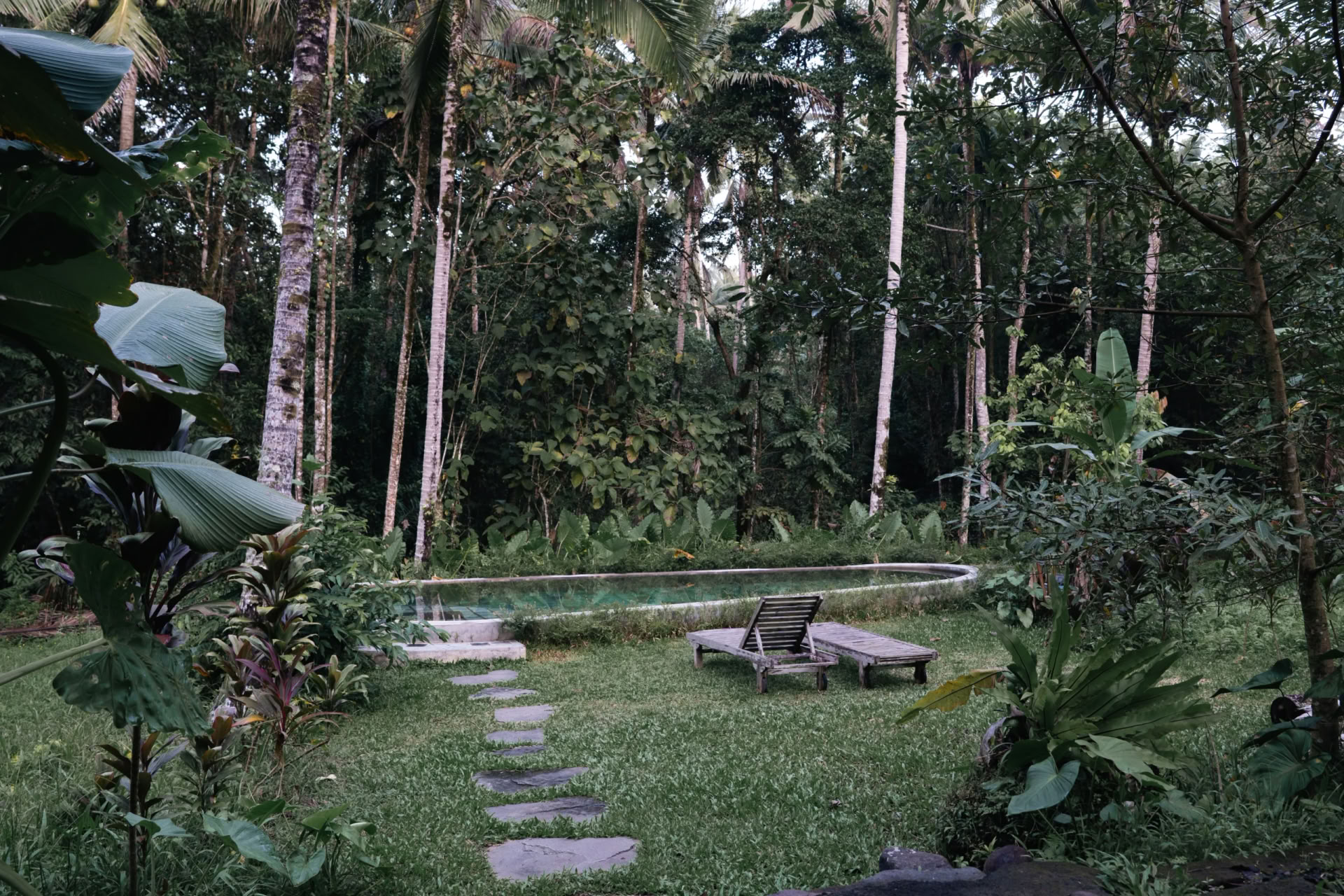 Private Jungle Retreat