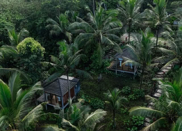 Private Jungle Retreat