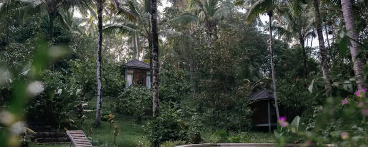 Digital Detox Retreat