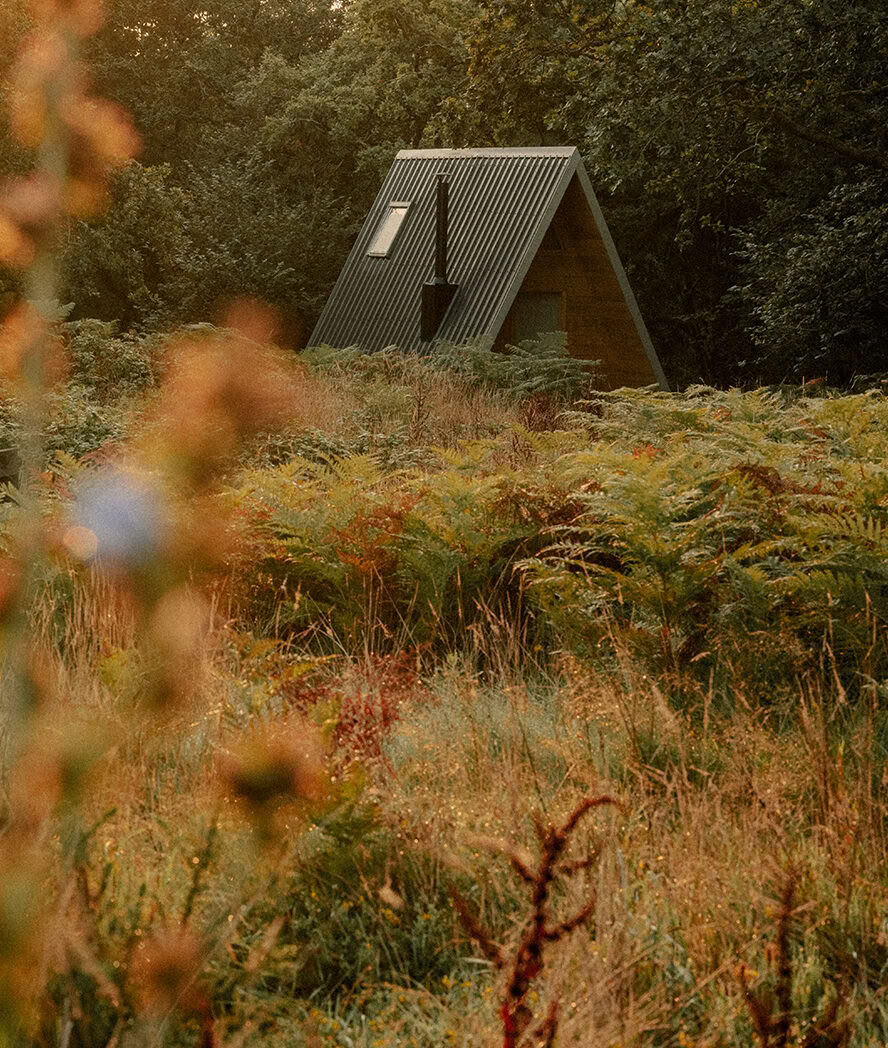 Our Signature Retreats