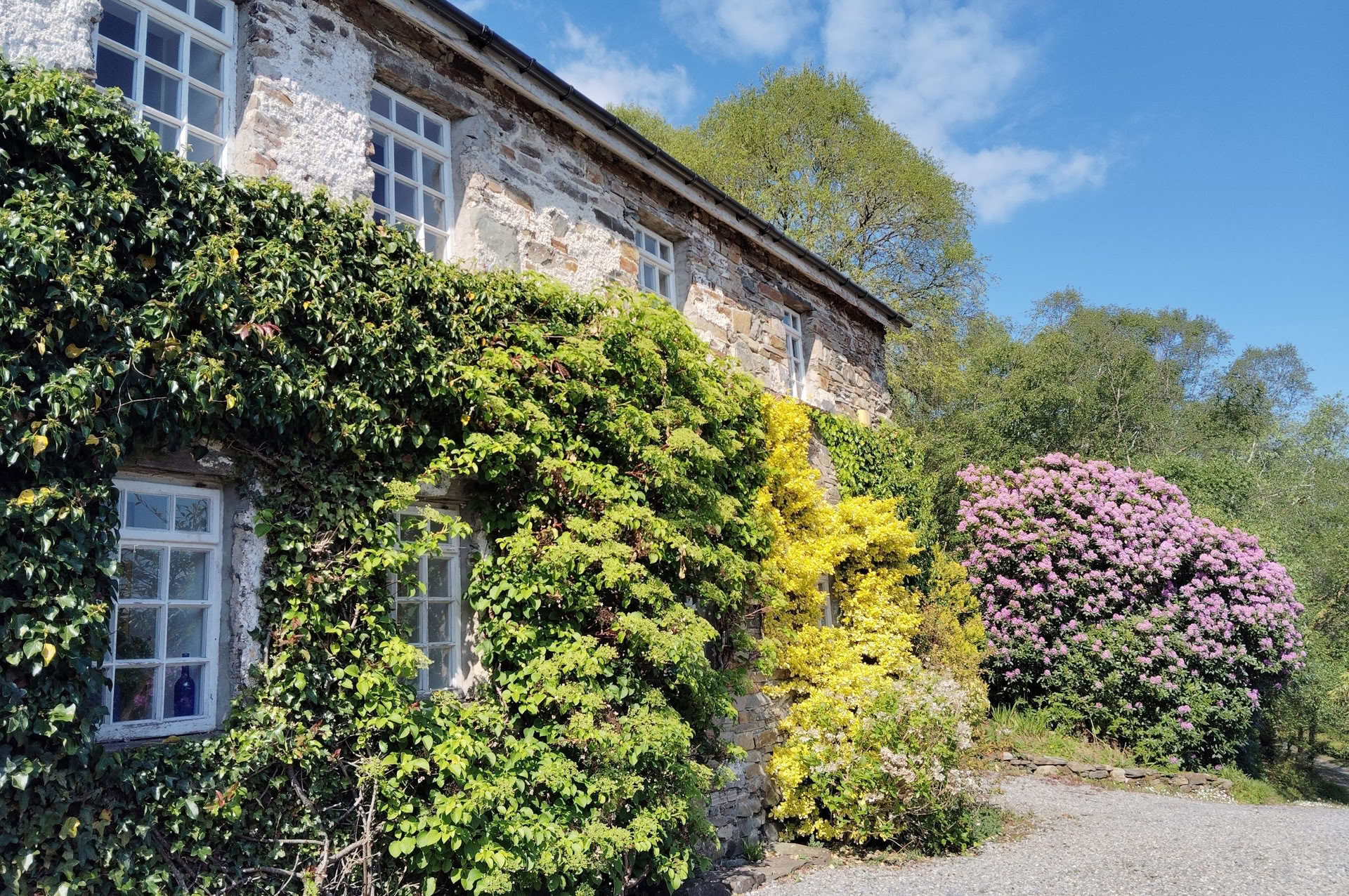 Three Night Wellness & Gentle Cleanse Weekend Retreat