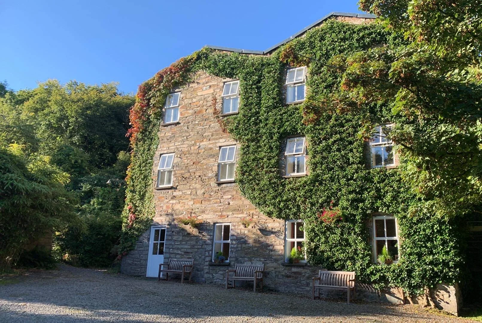 Three Night Wellness & Gentle Cleanse Weekend Retreat