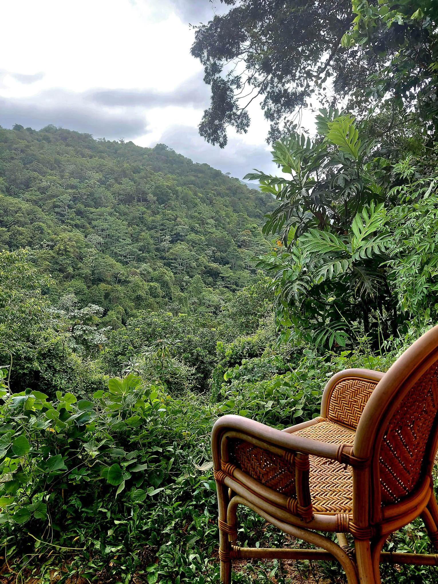 Private Retreat